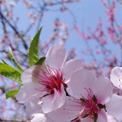 赢三张免费游戏app下载